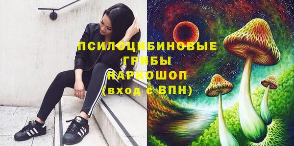 apvp Новодвинск