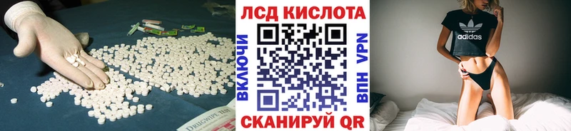 kraken зеркало Новая Усмань Лсд 25 экстази кислота хочу