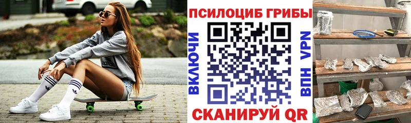 Галлюциногенные грибы Psilocybine cubensis  Новая Усмань 